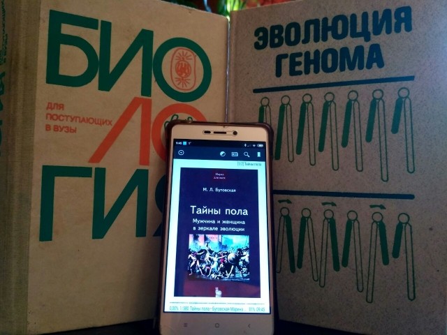 картинка sam0789