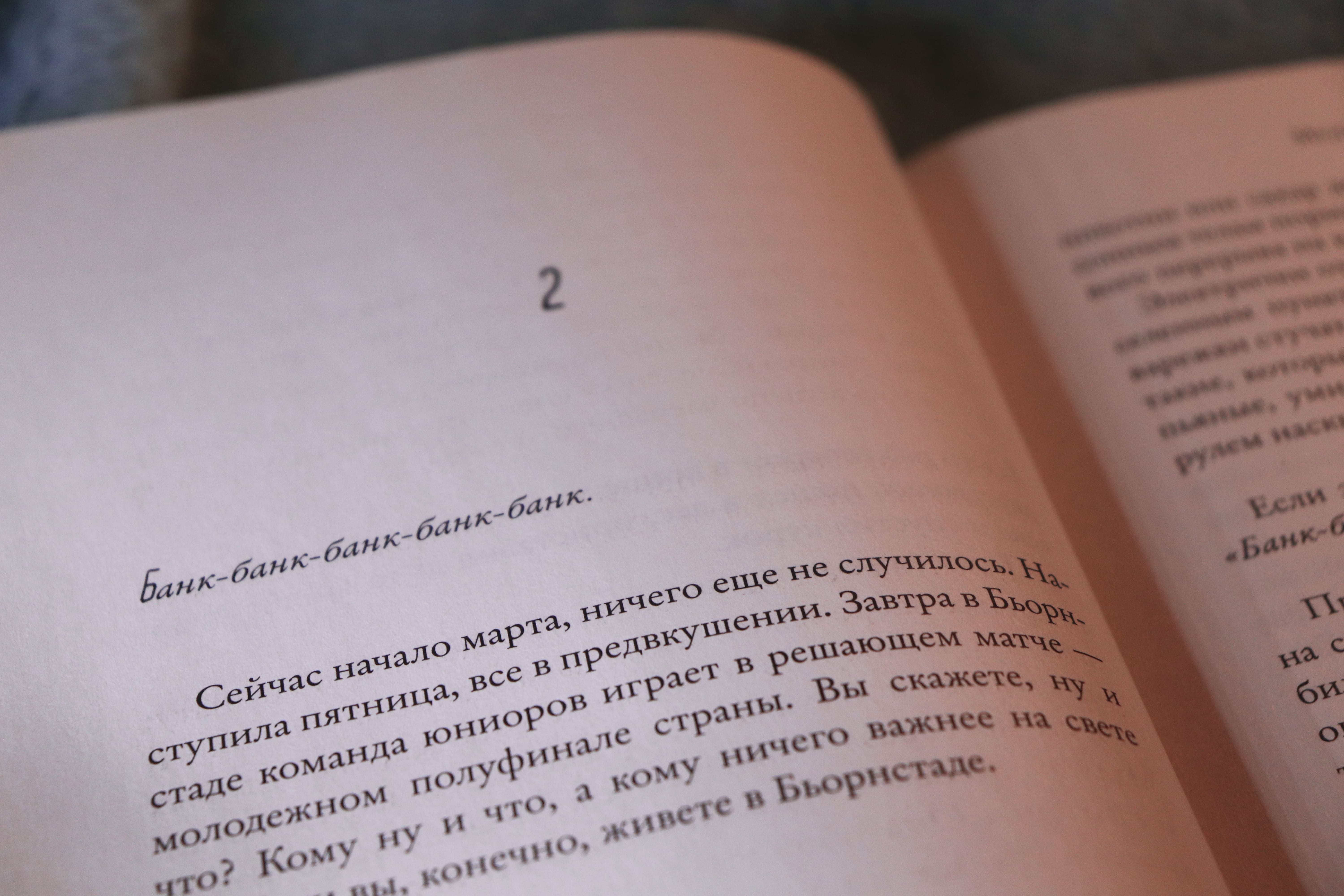 Фредрик Бакман «Медвежий угол» — отзыв ««Медвежий угол»: о сильном спорте и  «сломанных» людях» от Сызганцев Сергей