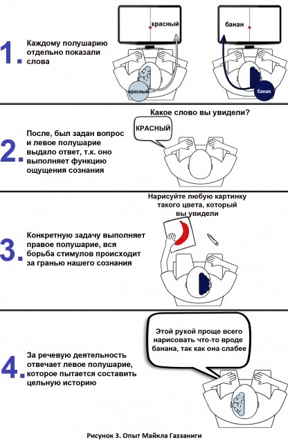 o-r.jpg
