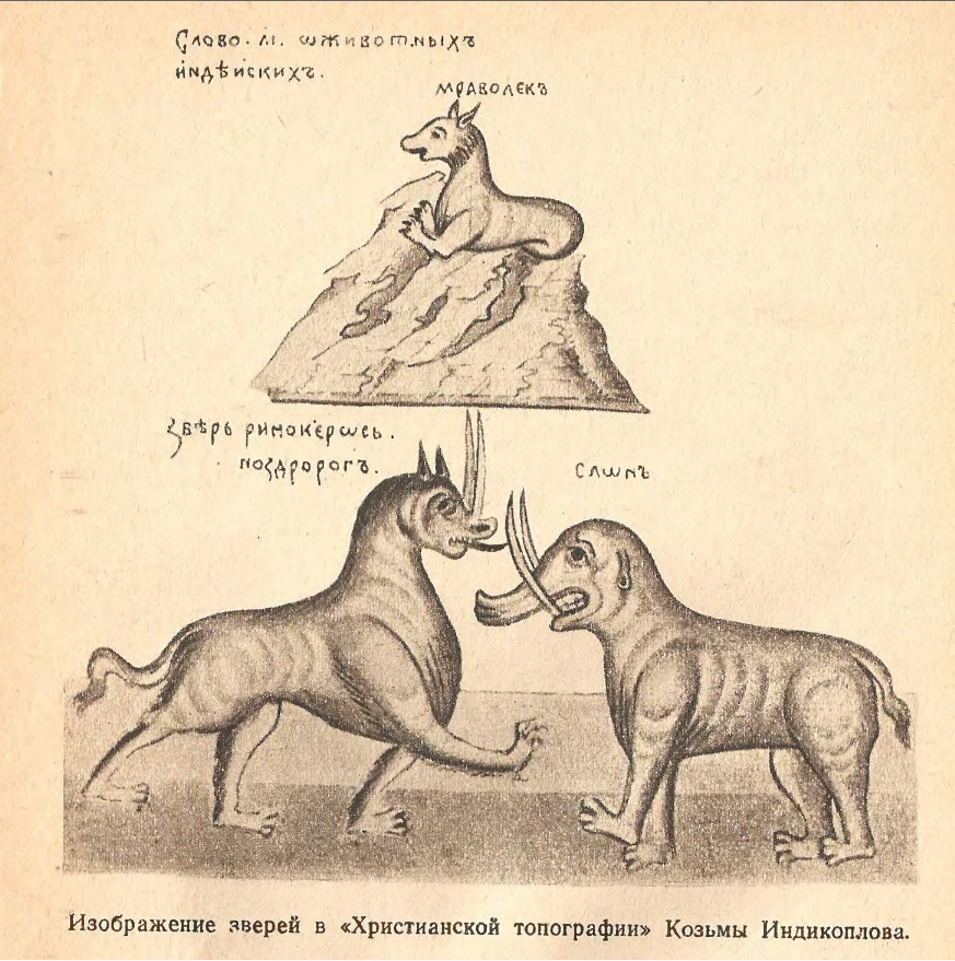 Карта мира козьмы индикоплова