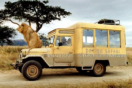 картинка sher2408