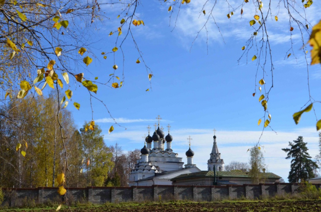 картинка simkas