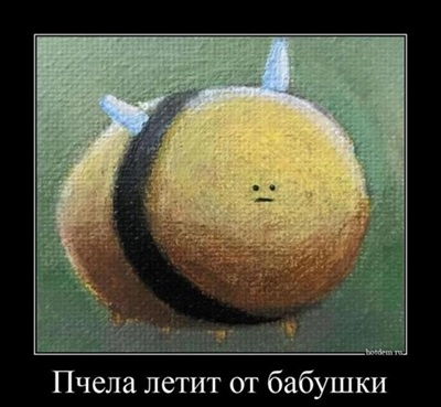o-r.jpg