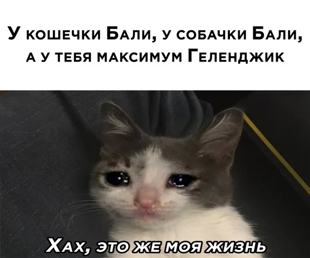 o-r.jpg
