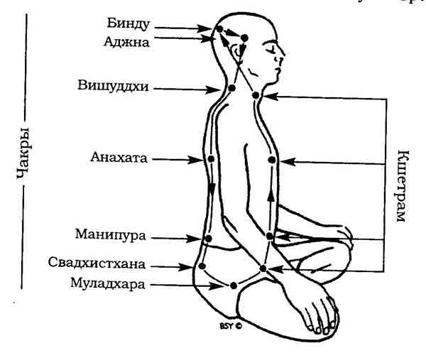 картинка sorokasoroka