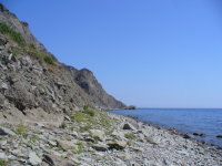 картинка sq