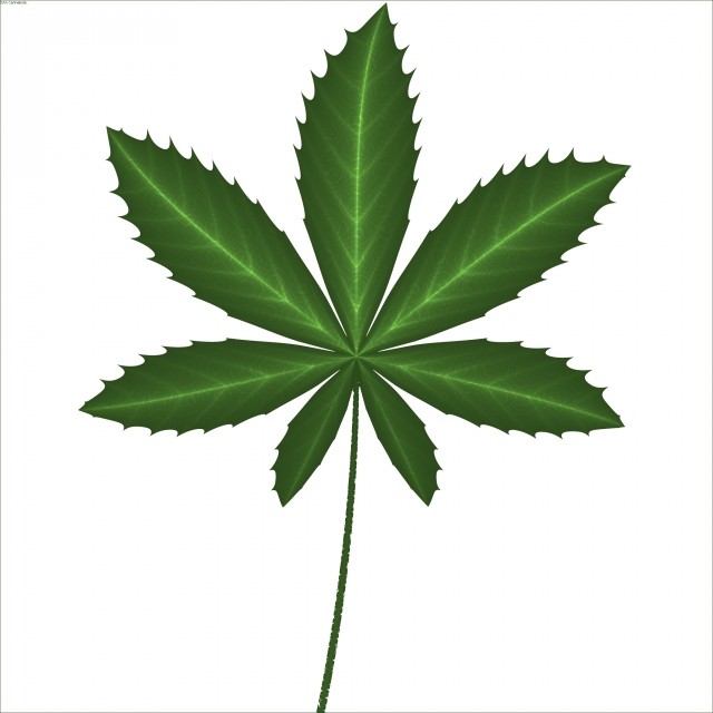 cannabola_picture