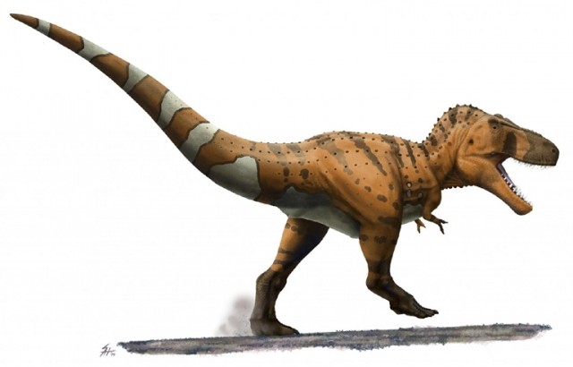 Tyrannosaurus_rex