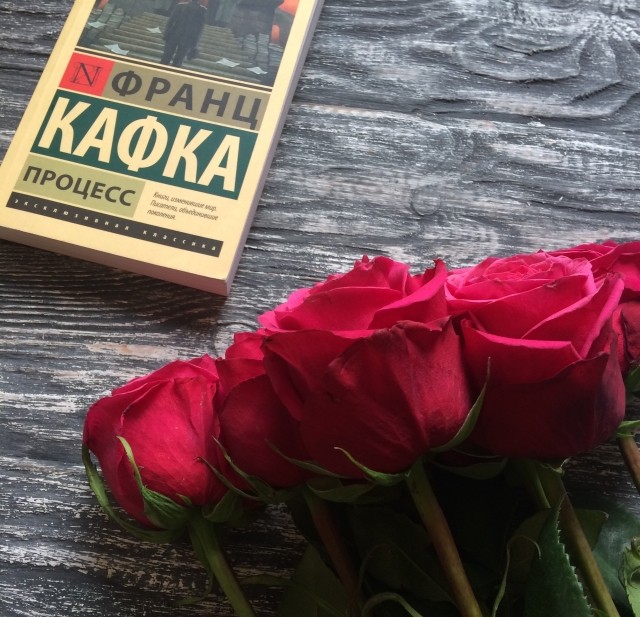 картинка stauver