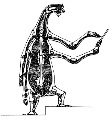 картинка stupin