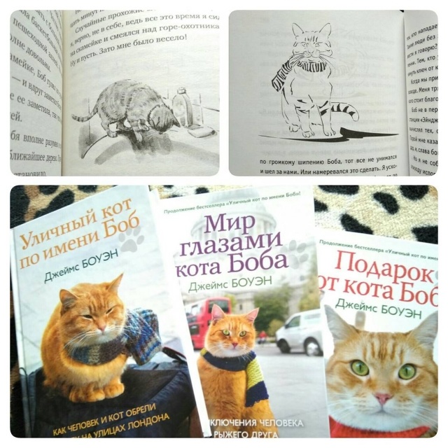 Кот боб книга