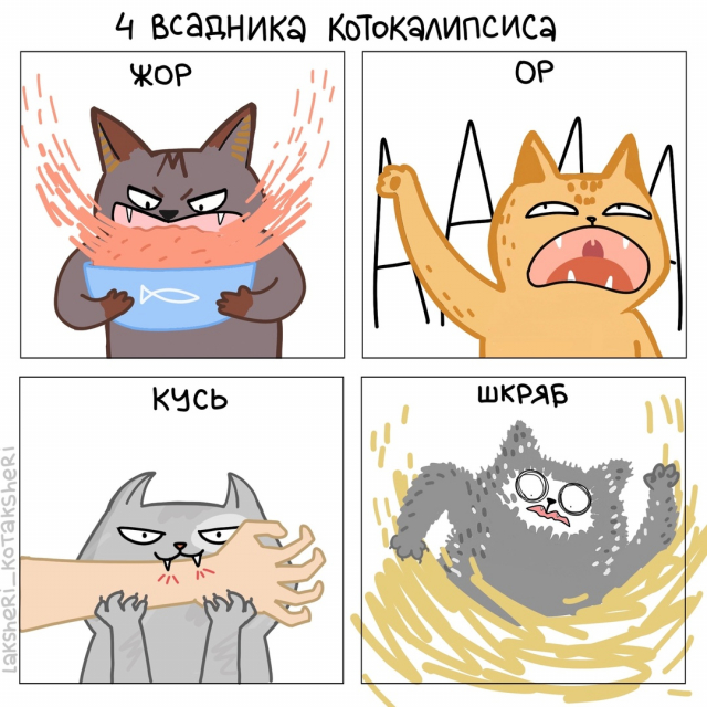 картинка tashacraigg