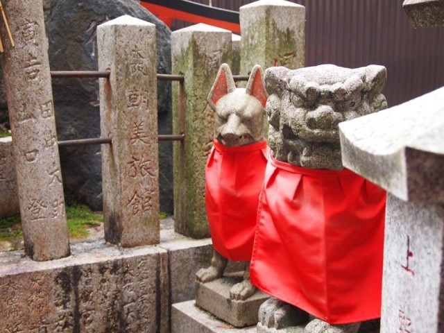 картинка tengu