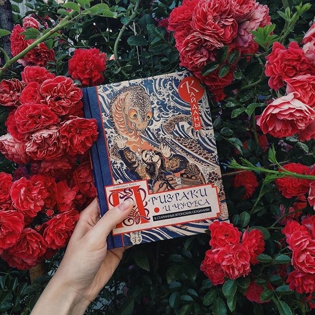 картинка tiny_hedgehog