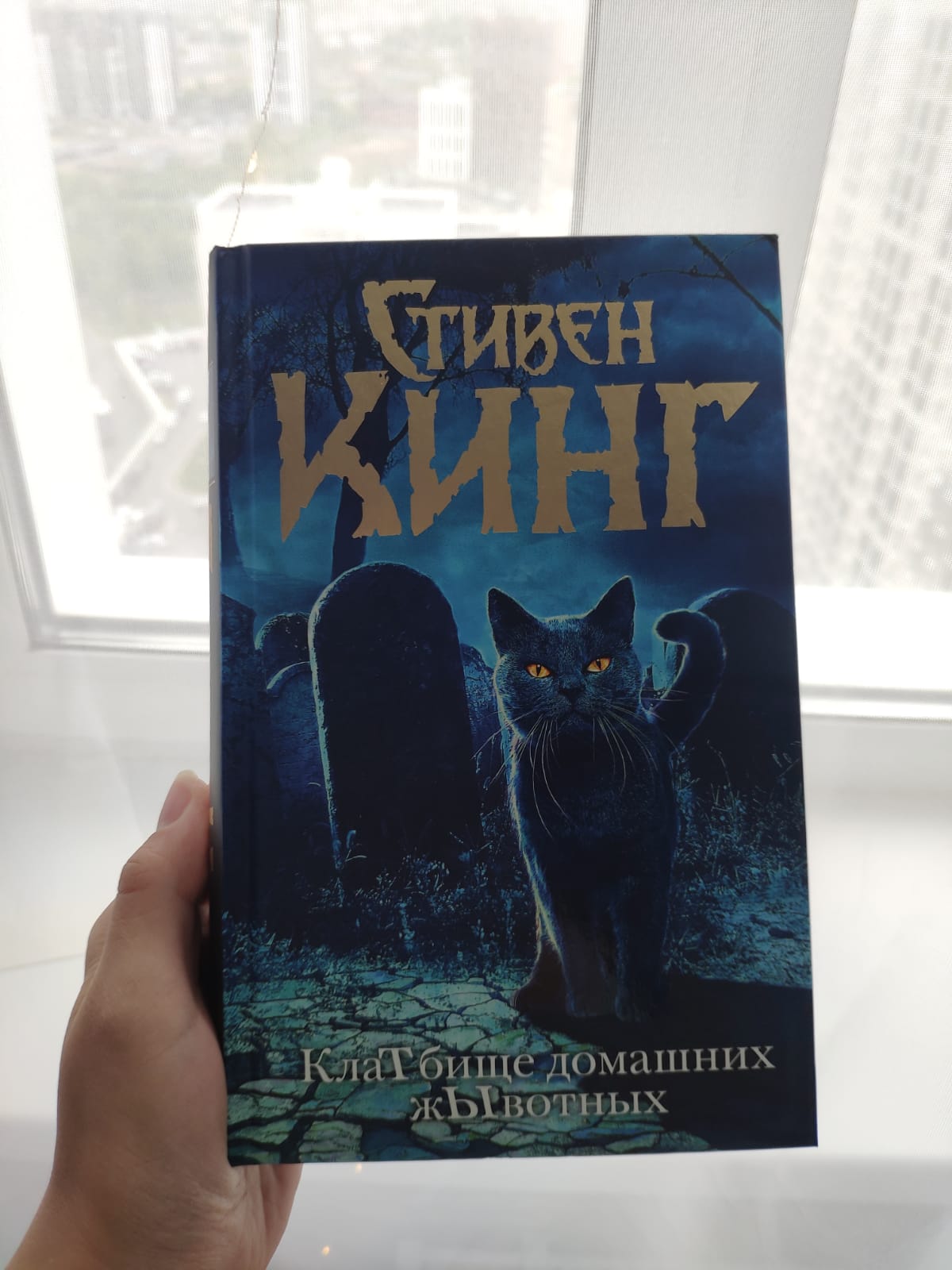 Отзывы о книге Стивена Кинга Адова кошка. Кладбище домашних животных.  Поселение Иерусалим (сборник) | Livelib