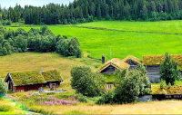 картинка varvarra