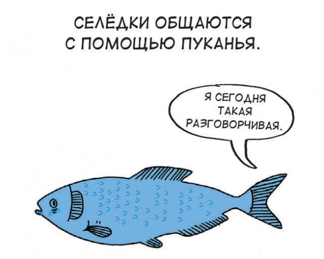 картинка varvarra