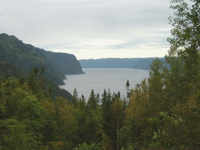 картинка varvarra