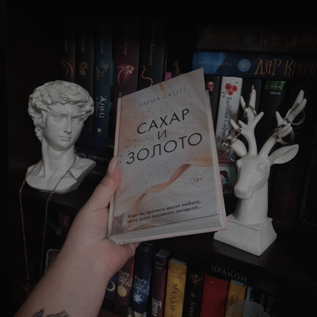 картинка ventessa