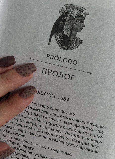 картинка vi_books