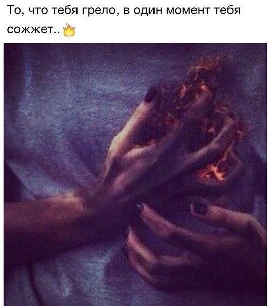 картинка vida_winter