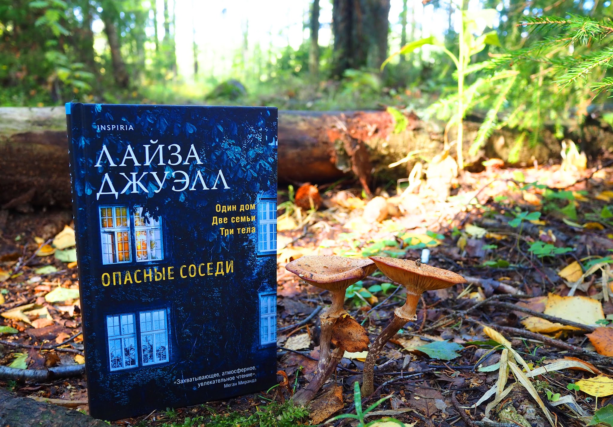 Опасная соседка. Опасные соседи x2ded. Опасная соседка. Лайза джуэлл книги. Книжные паразиты на книгах.