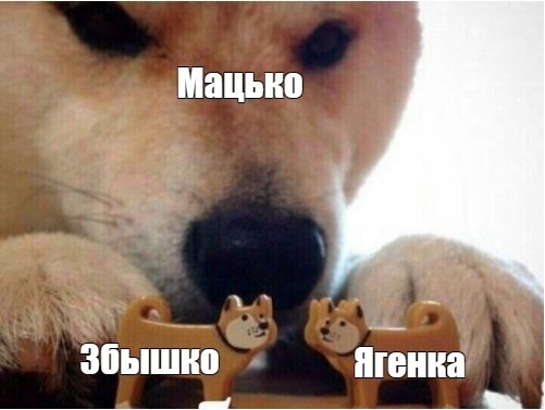 картинка wakenow