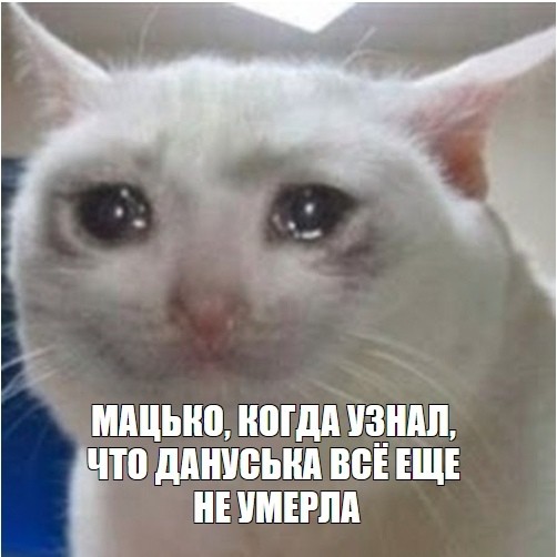 картинка wakenow