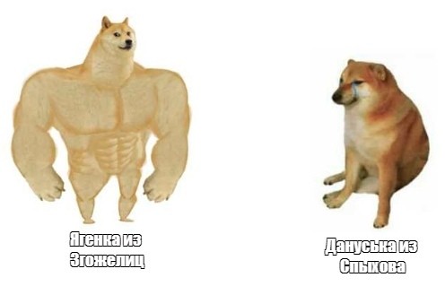 картинка wakenow