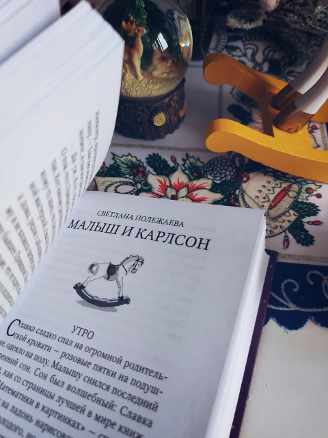 картинка wings_book