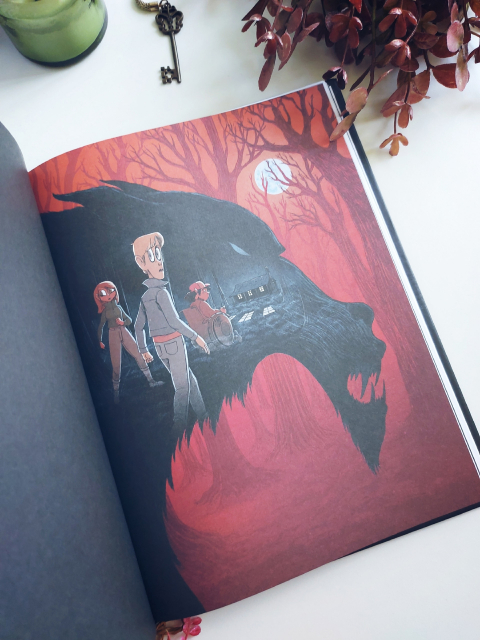картинка wings_book