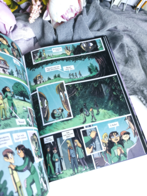 картинка wings_book