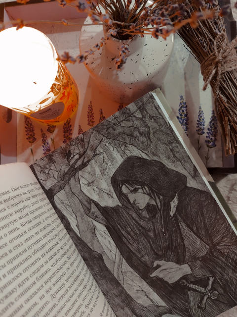 картинка wings_book