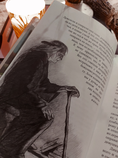 картинка wings_book