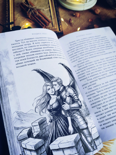 картинка wings_book