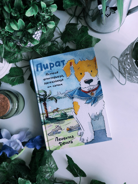 картинка wings_book