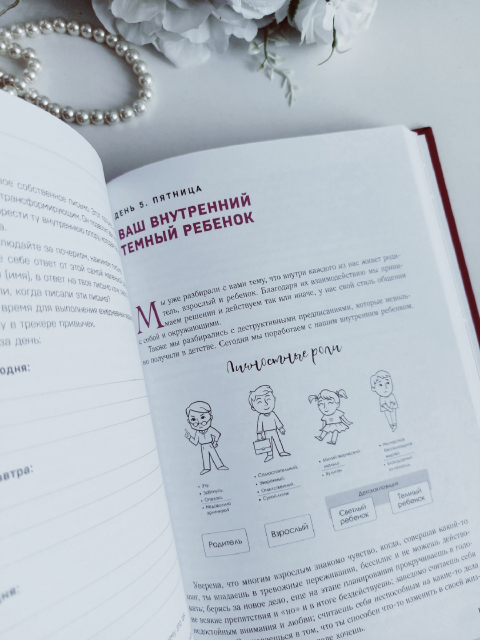 картинка wings_book