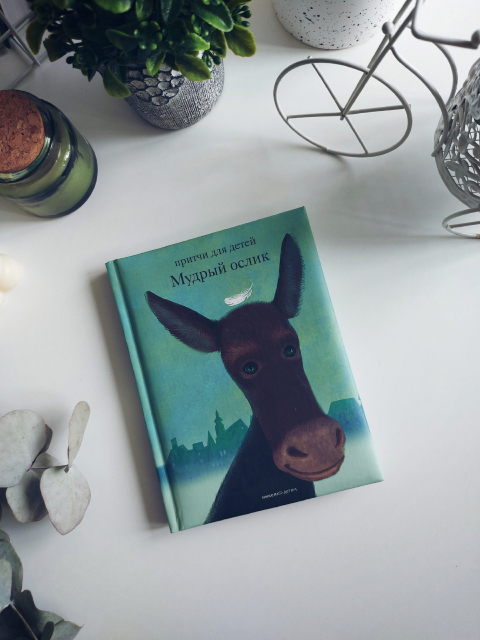 картинка wings_book