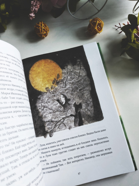 картинка wings_book