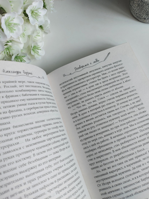 картинка wings_book