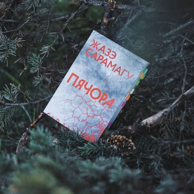 картинка xbohx