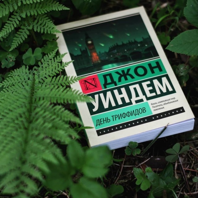 картинка xbohx
