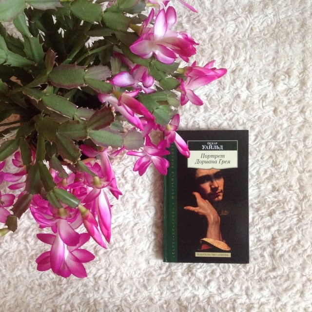 картинка xomyasik