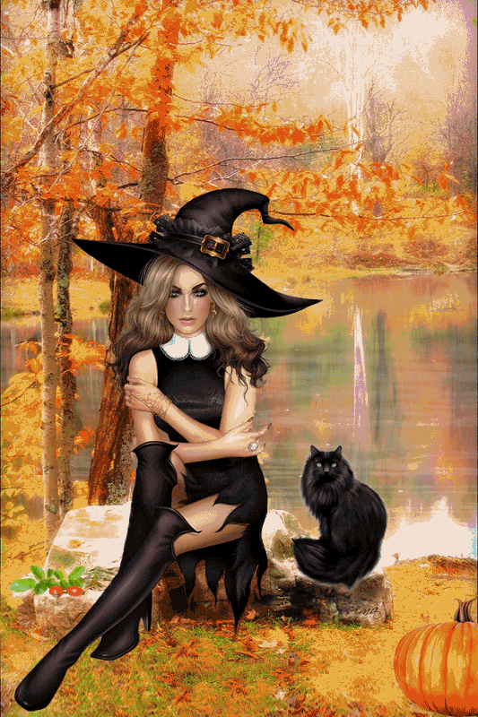 Добрая ведьма. Ведьмочка с котом. Красивая ведьма с котом. Осенняя ведьмочка. Осень причудливая волшебница огэ