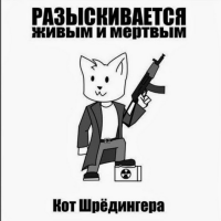 картинка zyr051